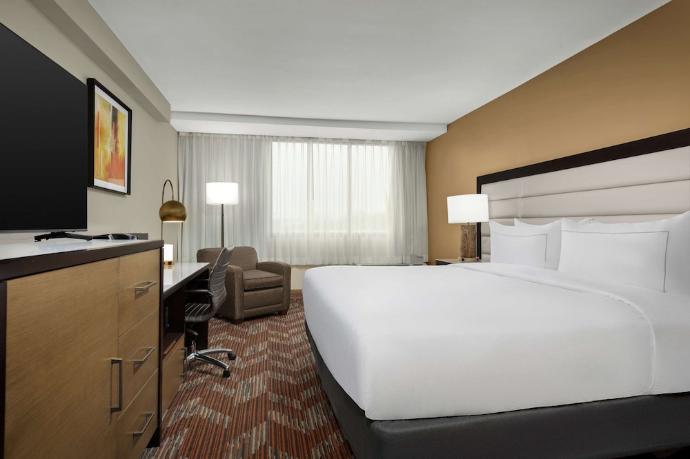 Room, 1 King Bed photo 2