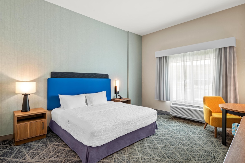 Room, 1 King Bed, Accessible (Roll-In Shower)