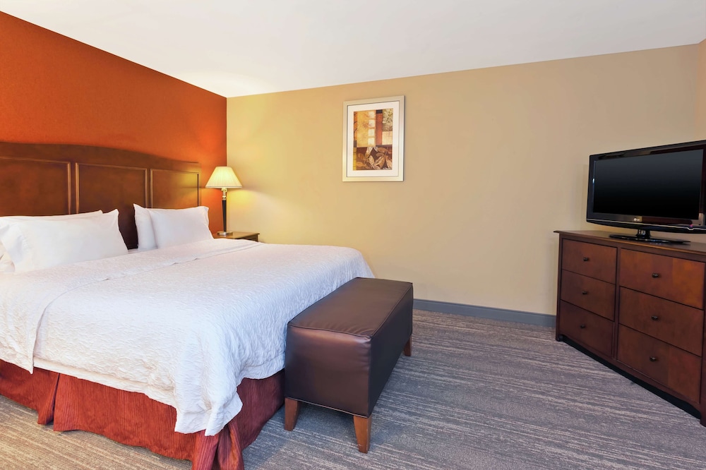 Room, 1 King Bed, Accessible - Photo 5
