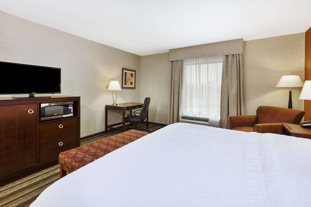 Room, 1 King Bed photo 3