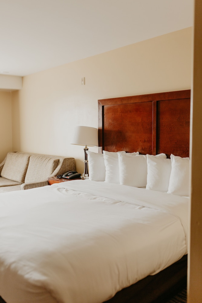 Room, 1 King Bed with Sofa bed, Non Smoking