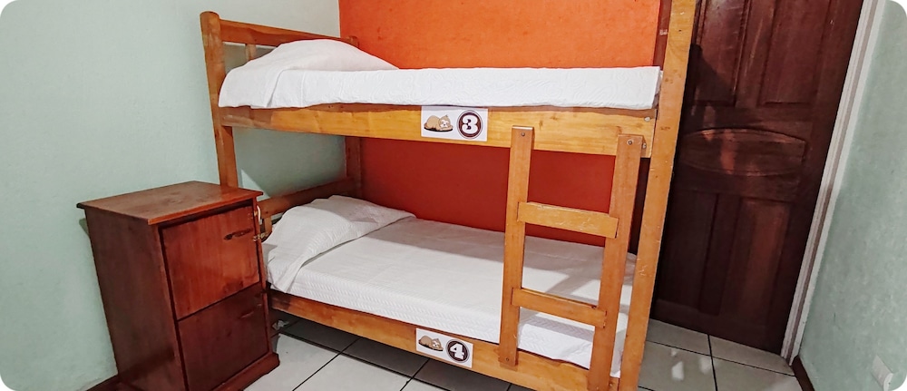 Comfort Shared Dormitory, 1 Twin Bed, Garden View photo 2