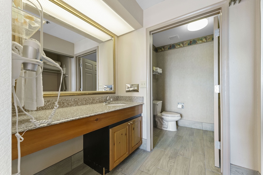 Premium Apartment photo 2