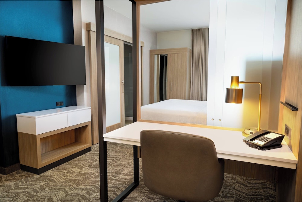 Suite, 1 King Bed - Photo 7