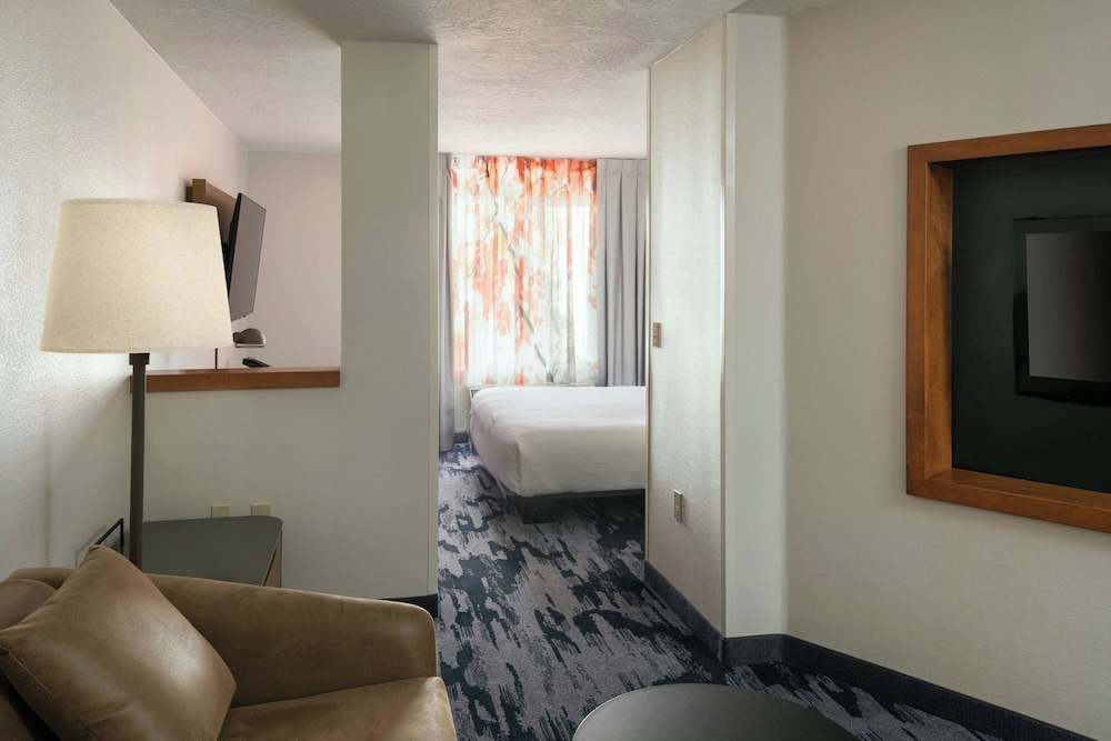 Executive Suite, 1 King Bed with Sofa bed (Hearing Accessible) photo 1