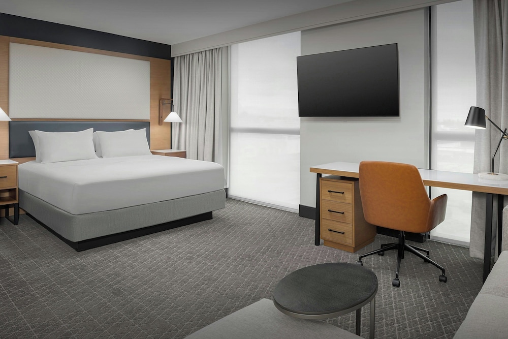 Studio, 1 King Bed with Sofa bed