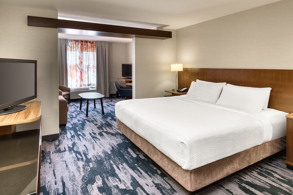 Suite, 1 King Bed with Sofa bed