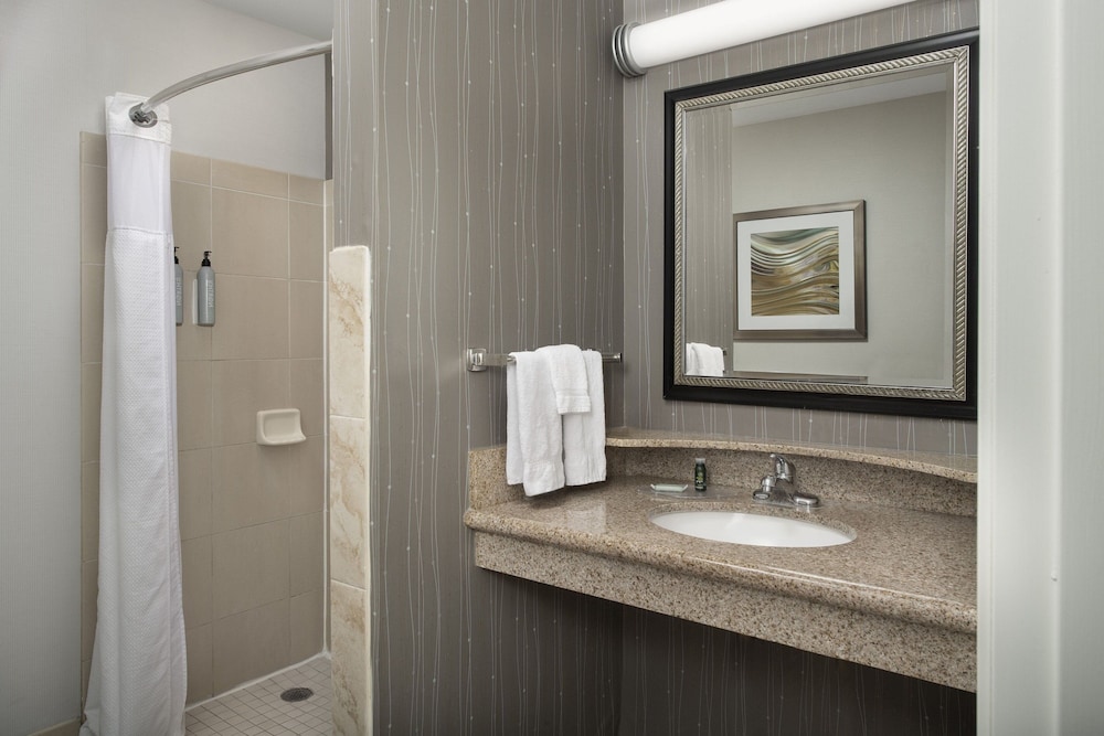 Executive Suite, 1 King Bed with Sofa bed