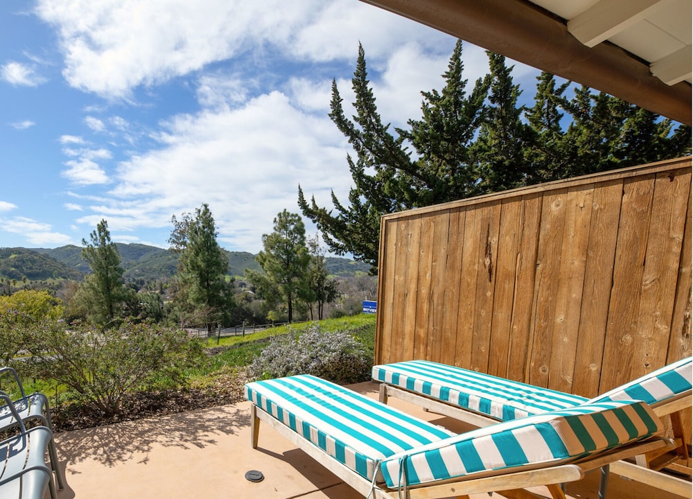 Superior Room, 1 King Bed, Patio photo 3