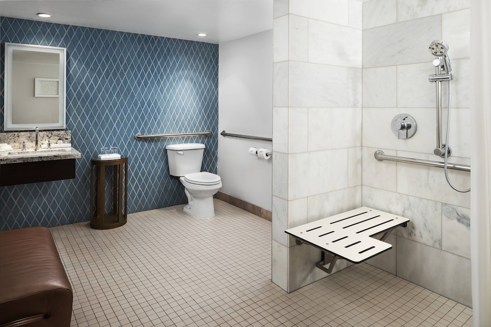 Suite, 1 Queen Bed (Mobility Accessible, Roll-In Shower) photo 3