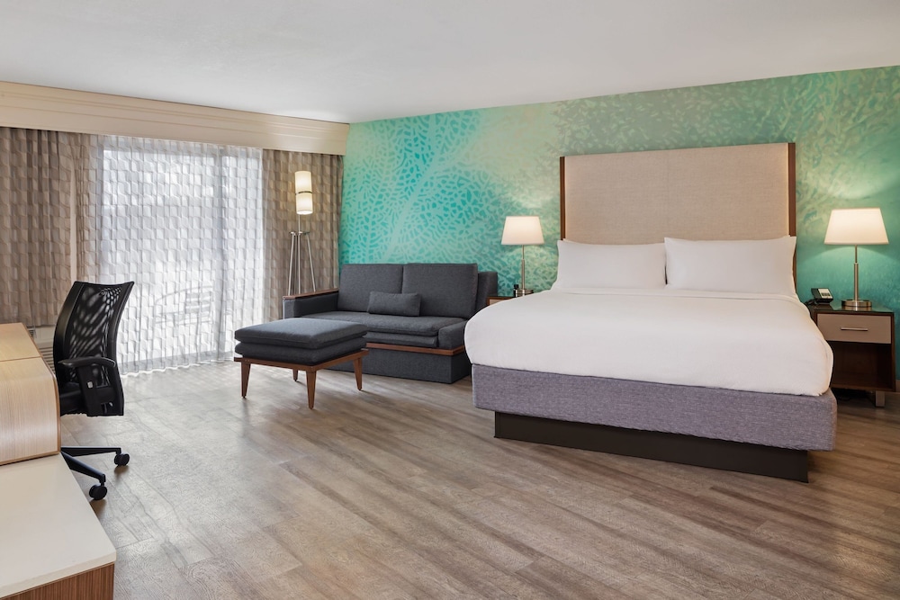 Room, 1 King Bed with Sofa bed (Mobility/Hearing Access, Roll-In Shwr)