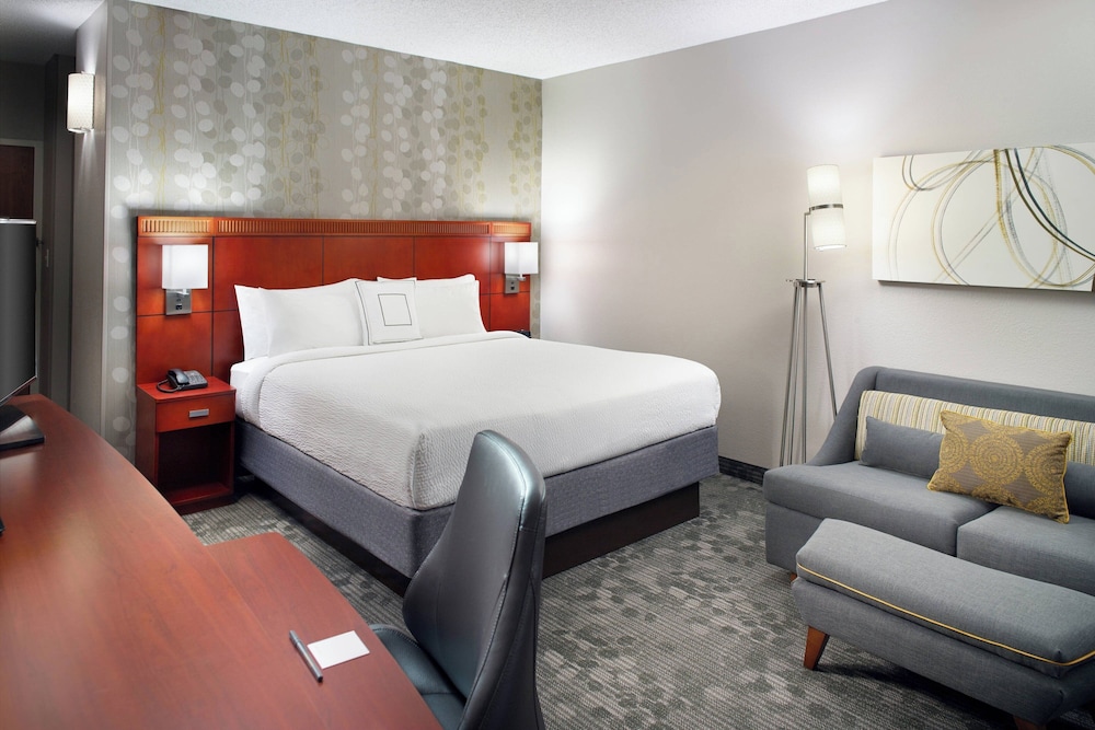 Room, 1 King Bed with Sofa bed (Mobility/Hearing Access, Roll-In Shwr)