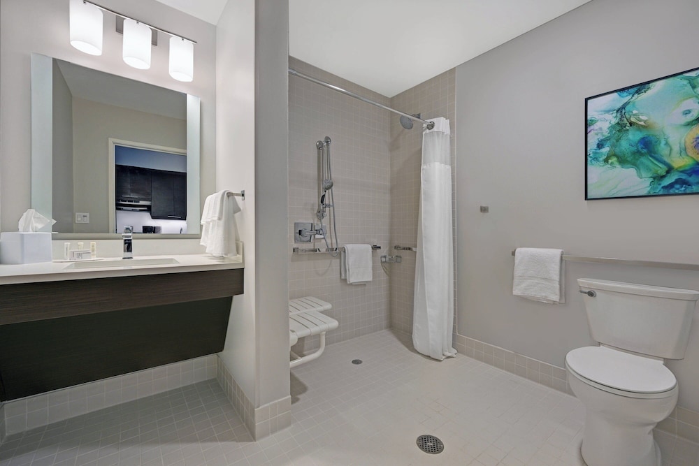 Studio, 1 King Bed with Sofa bed (Mobility Accessible, Roll-In Shower) photo 3