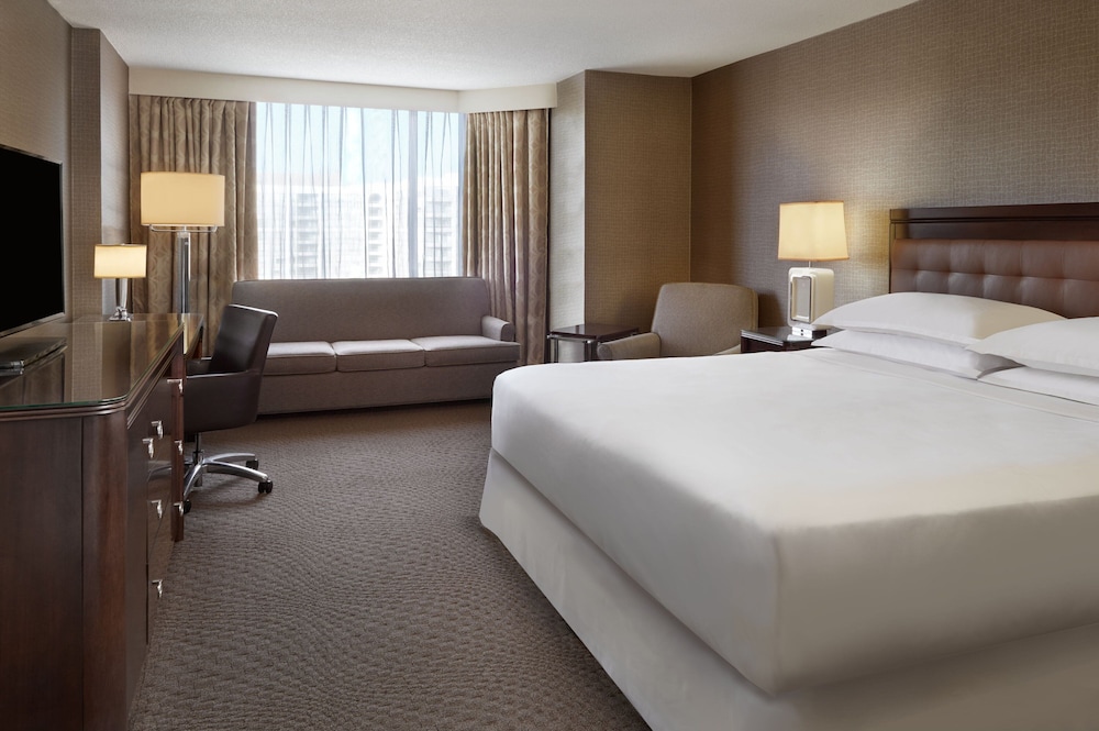 Room, 1 King Bed with Sofa bed