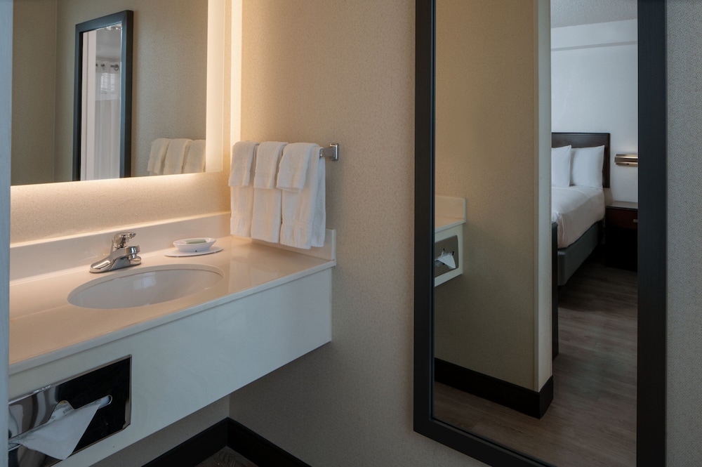 Suite, 1 Bedroom - Photo 5