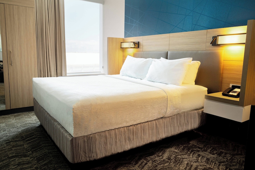 Suite, 1 King Bed - Photo 1