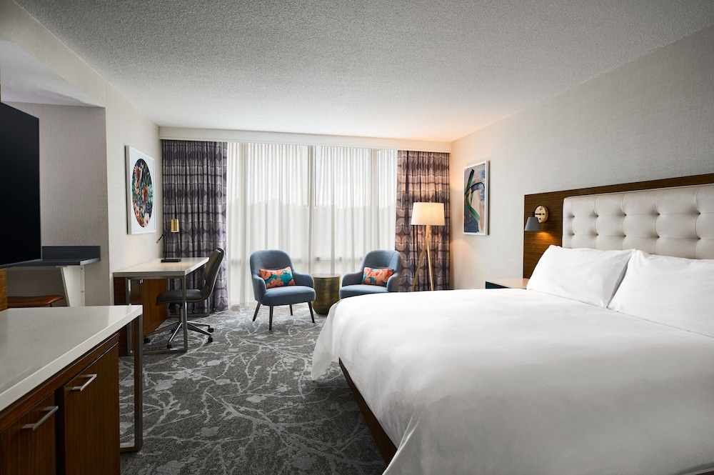 Studio Suite, 1 King Bed photo 2