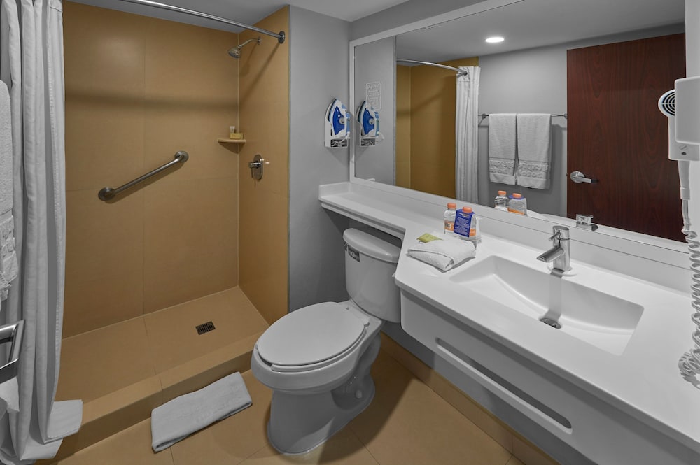 Suite, 1 Bedroom - Photo 5