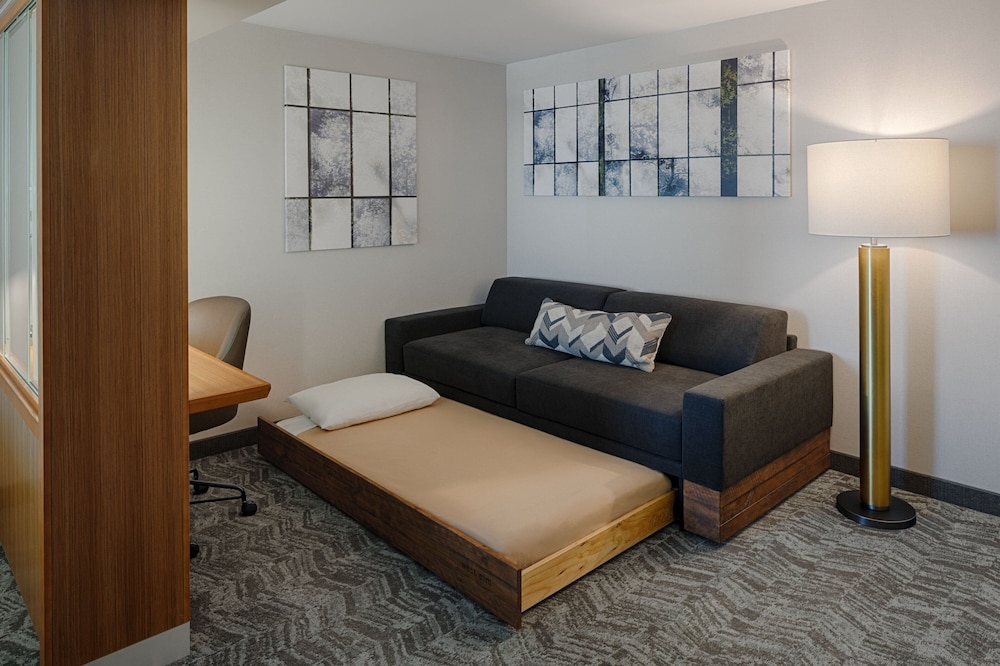 Studio, Multiple Beds (Mobility/Hearing Access, Roll-in Shwr) photo 2