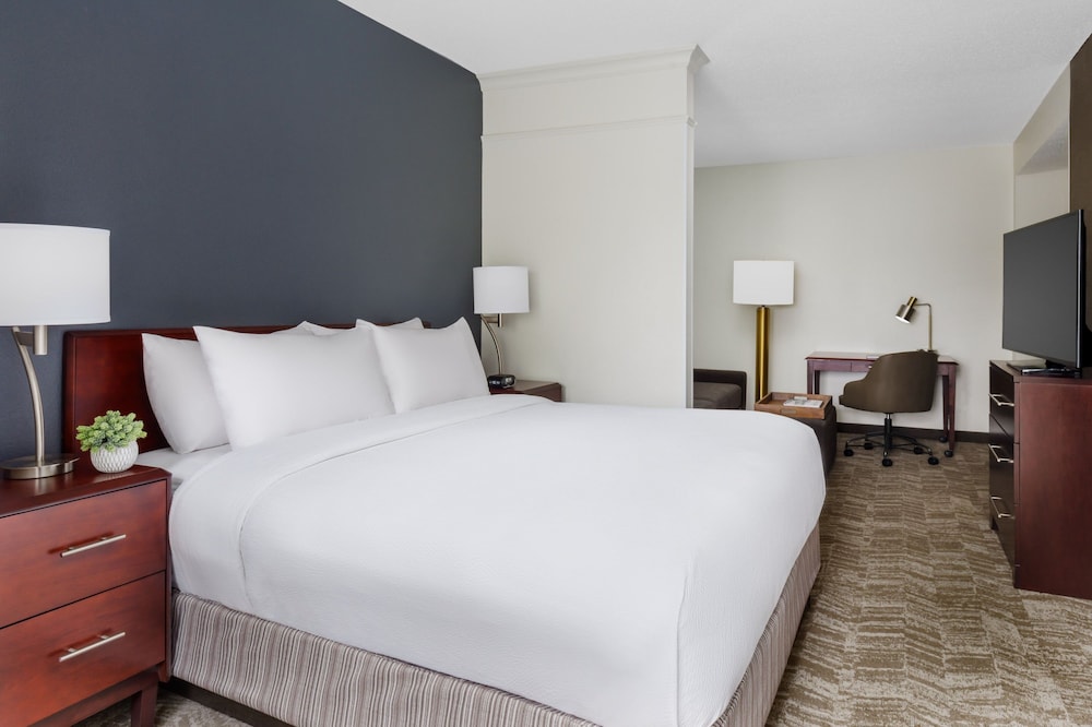 Suite, 1 King Bed with Sofa bed (Hearing Accessible) photo 1