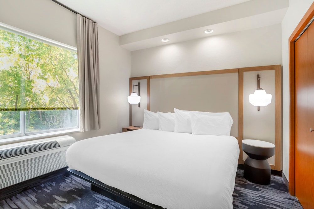 Suite, 1 King Bed with Sofa bed - Photo 1
