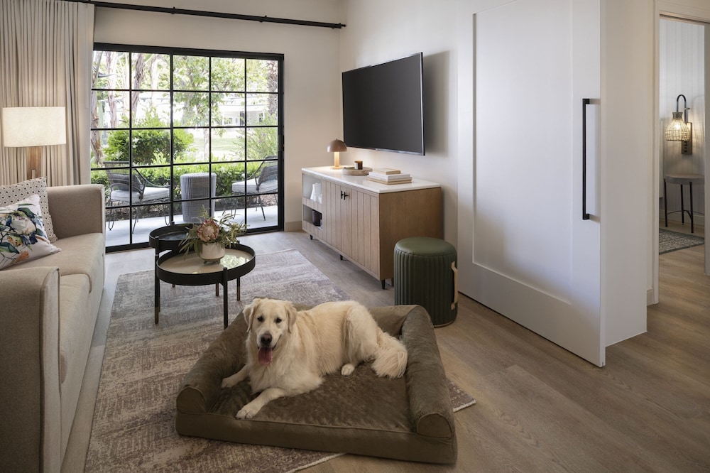 Suite, 1 Bedroom - Photo 6