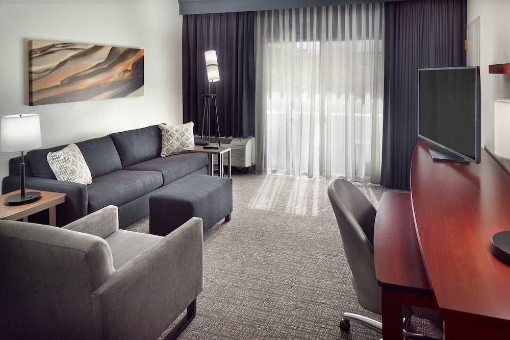 Suite, 1 King Bed with Sofa bed - Photo 10