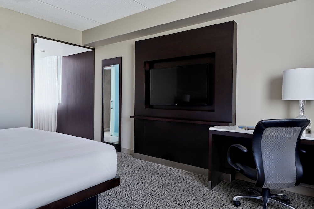 Room, 1 King Bed (Mobility Accessible, Roll-In Shower) - Photo 4