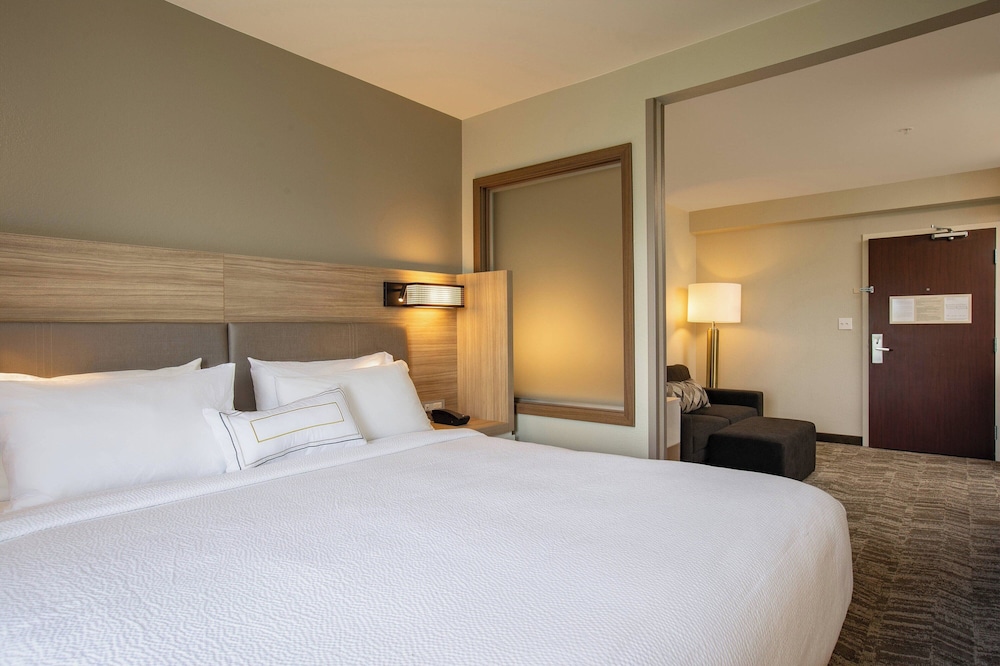 Suite, 1 King Bed with Sofa bed - Photo 6