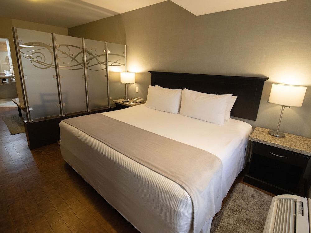 Executive Single Room, 1 King Bed - Photo 1