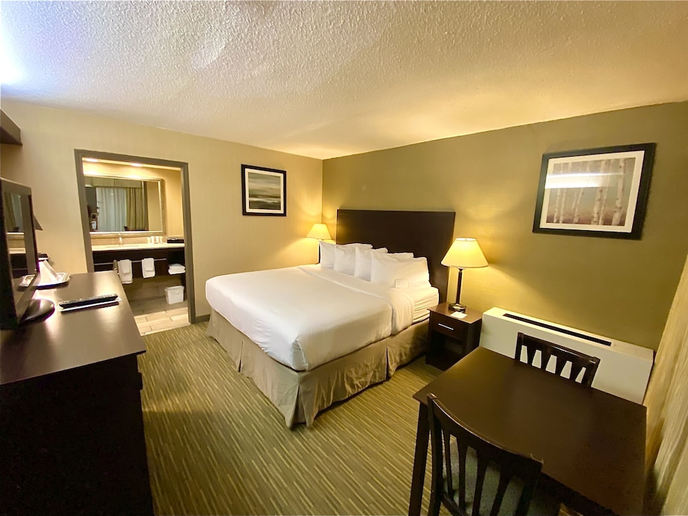 Room, 1 King Bed, Non Smoking photo 1