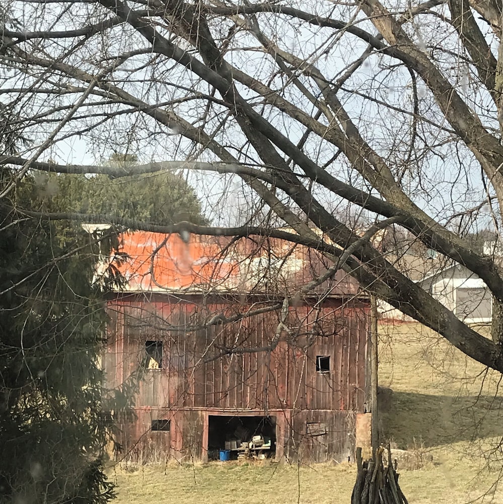Room (Ellen's Orchard) photo 3
