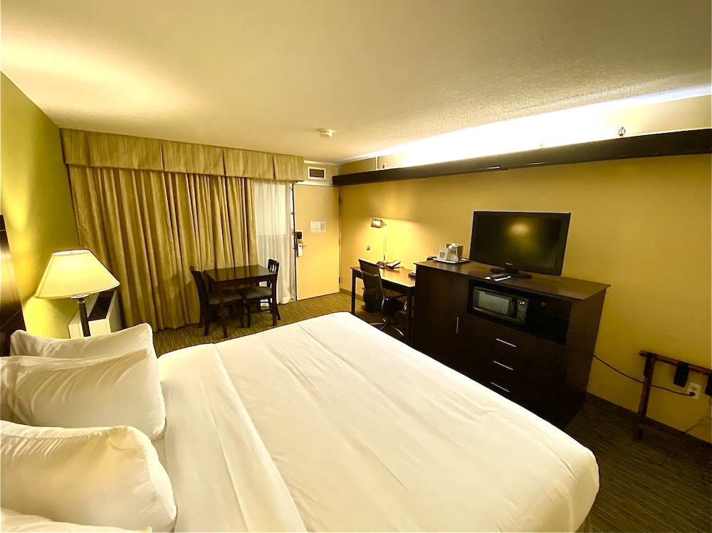 Room, 1 King Bed, Accessible, Non Smoking (Exterior Corridor) - Photo 3