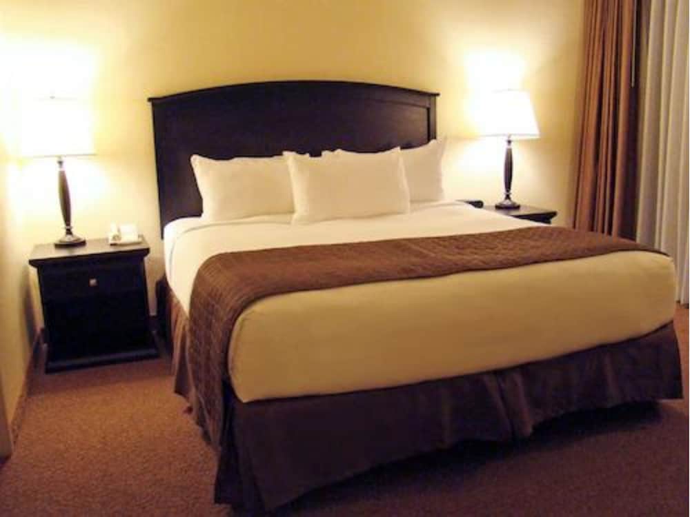 Suite, 1 Bedroom (1 Bathroom)