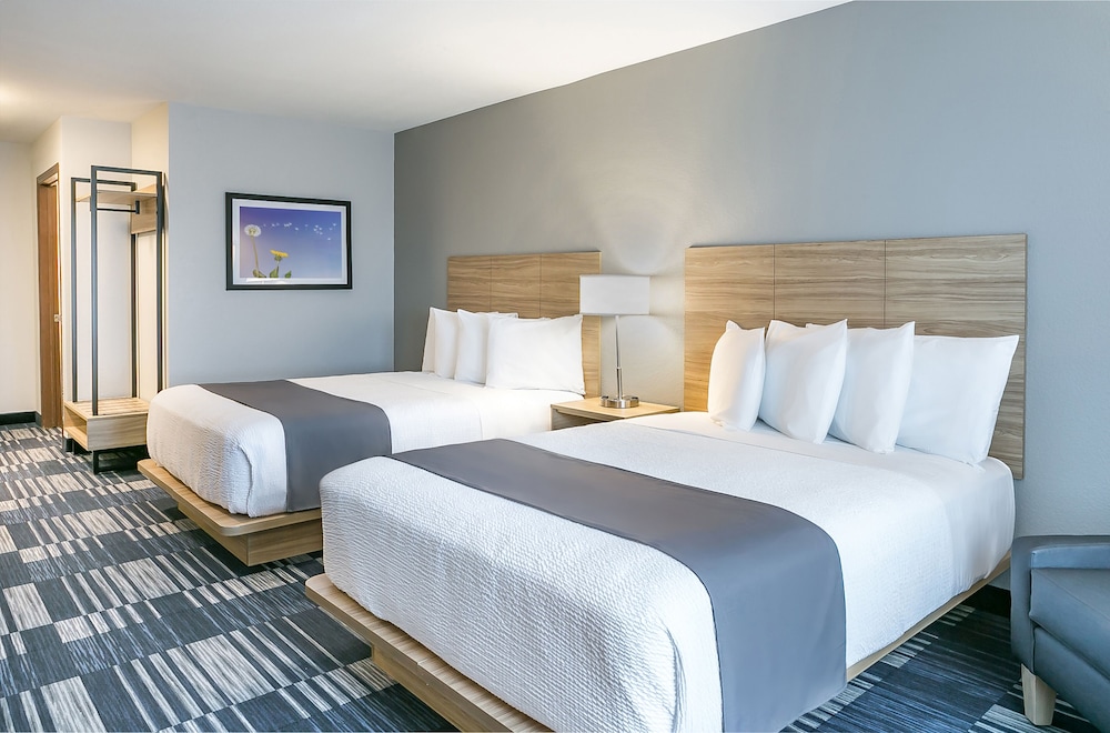 Room, 2 Queen Beds