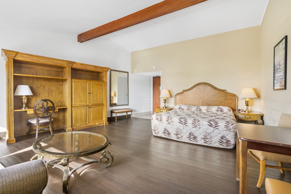Standard Room, 1 King Bed with Sofa bed, Lake View photo 2