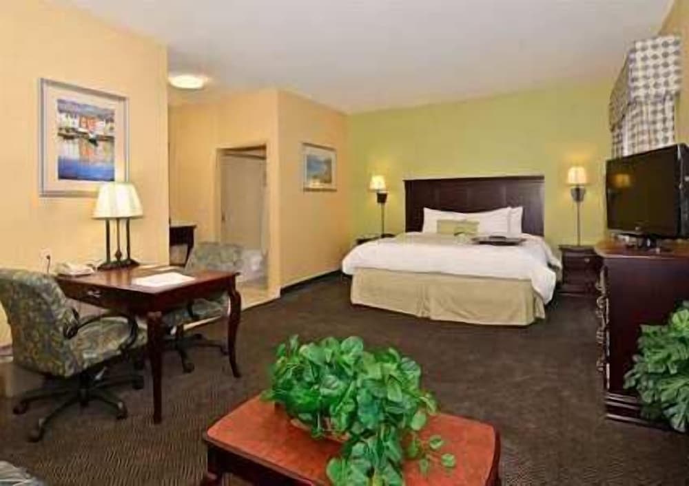 Suite, 1 King Bed, Accessible, Non Smoking photo 2