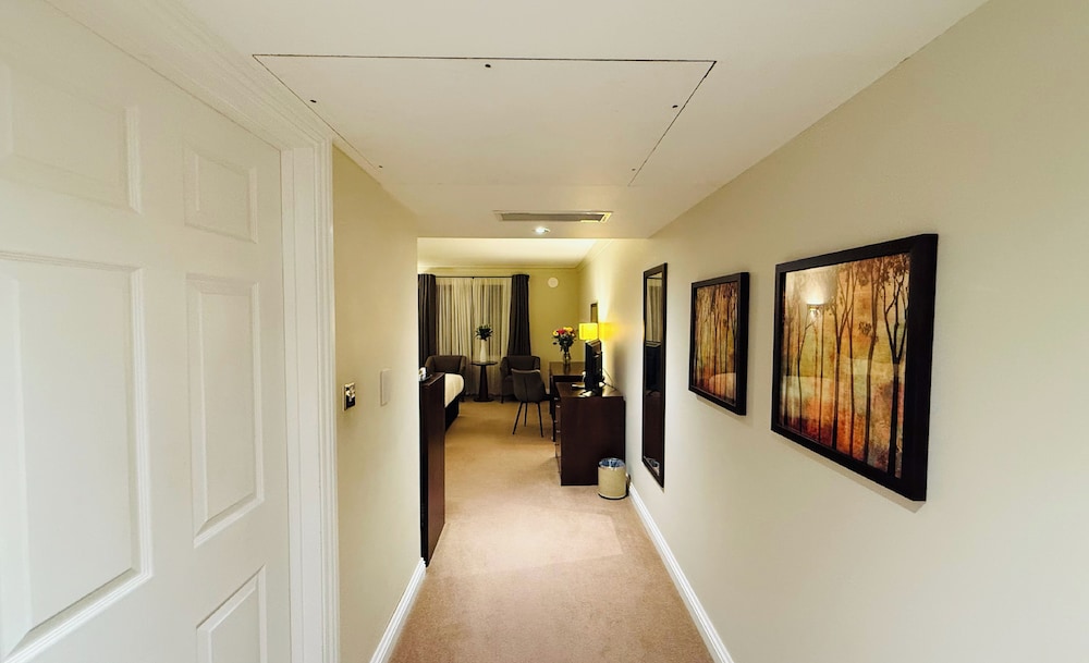 Junior Suite, 1 Queen Bed