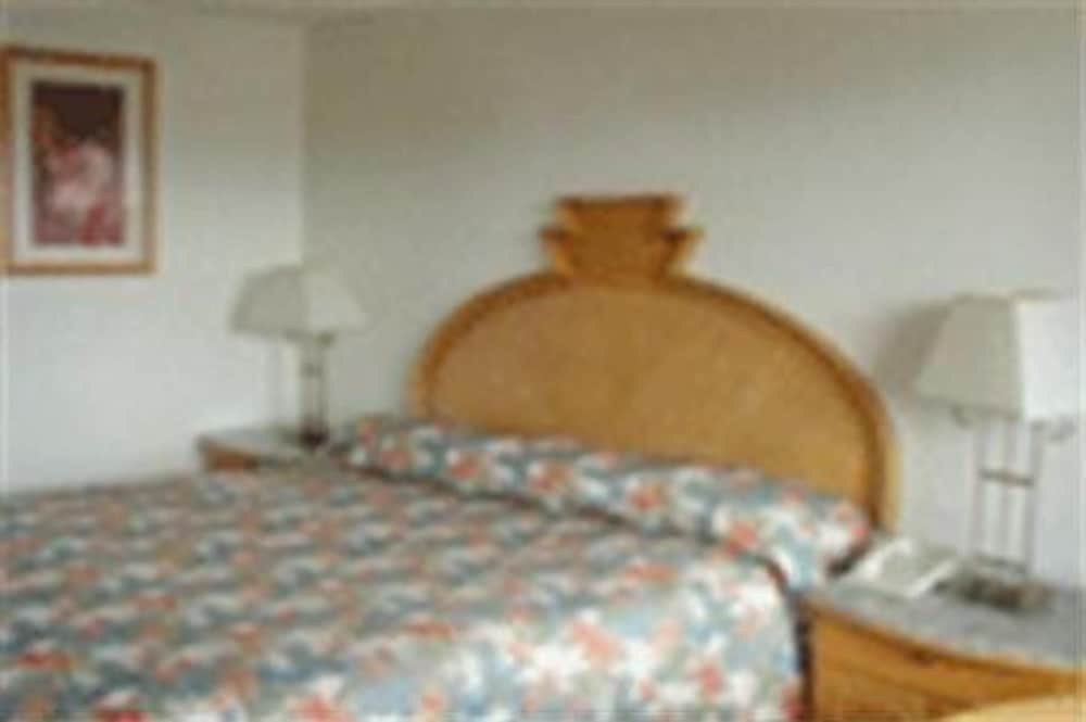 Room, 1 King Bed photo 2