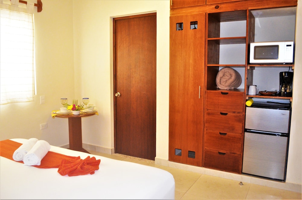 Junior Studio, 1 King Bed, Annex Building