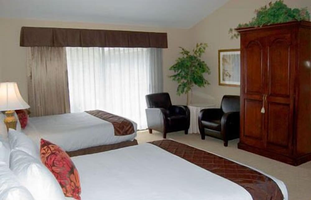 Suite, 1 King Bed or 2 Queen Beds photo 1