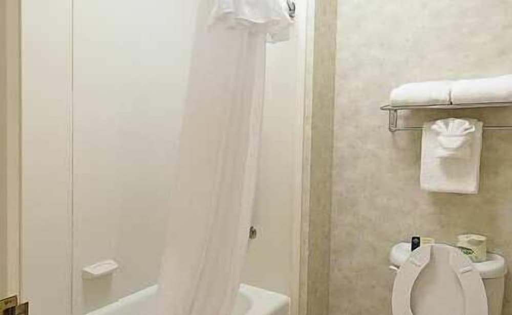 Suite, 1 Bedroom, Non Smoking (2 Queen Beds with Sofa Bed) - Photo 4