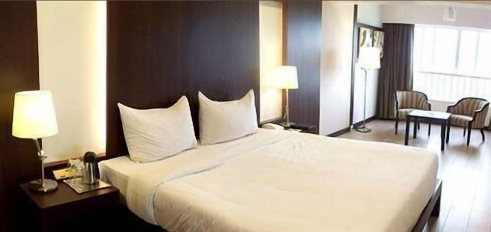 Executive Room - Photo 5