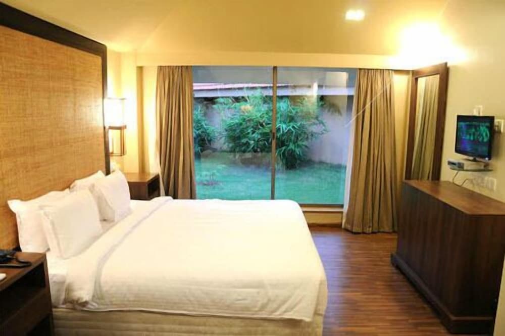 Ibis Suite photo 3