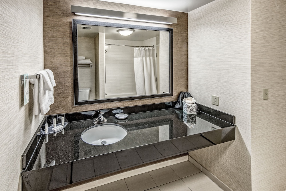 Suite, 1 King Bed with Sofa bed (Hearing Accessible)