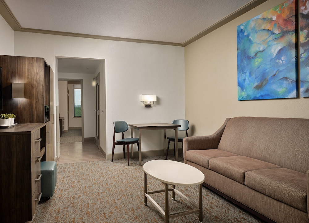 Room, 1 King Bed, Accessible (King Accessible Suite)