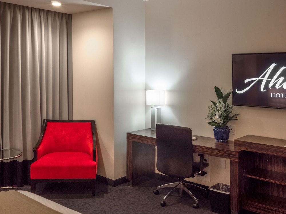 Basic Single Room photo 3