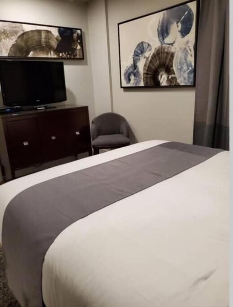 标准一居室套房