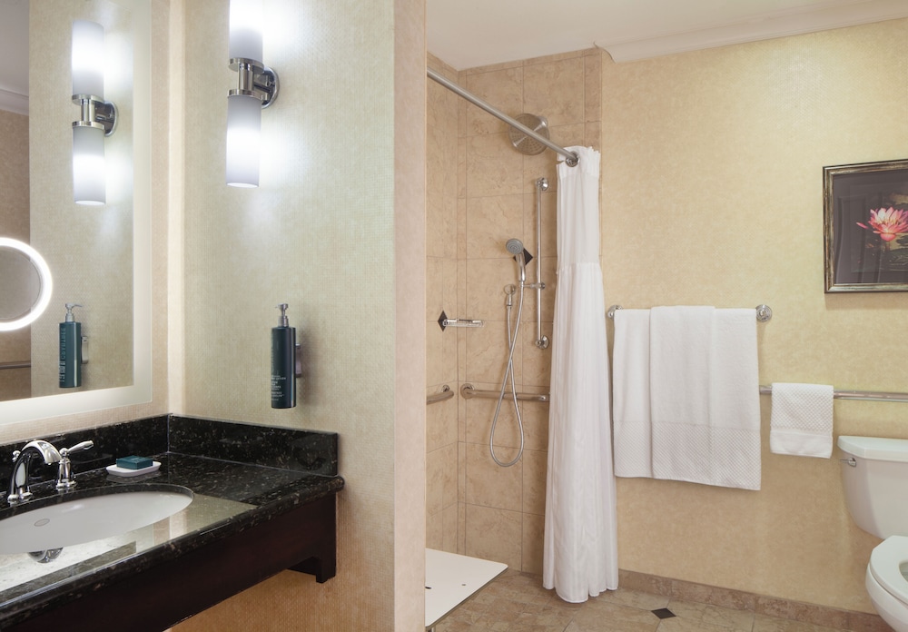 2 Queen Mobility/Hearing Accessible Bathtub - Photo 3
