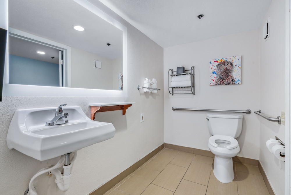 Deluxe Room, 1 King Bed, Accessible